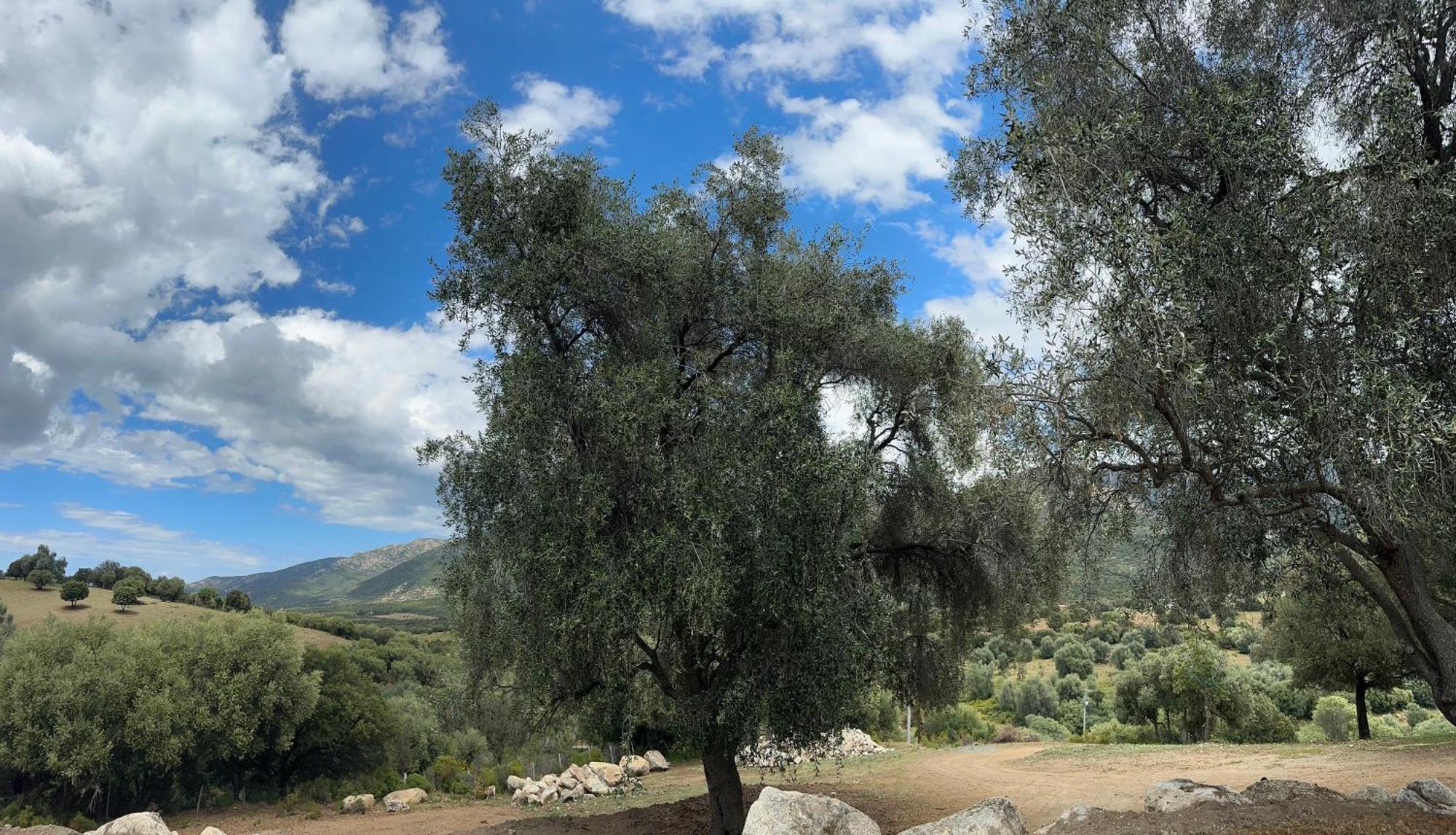 La Casa D'Ange Bergerie De Luxe Villa Lama Екстериор снимка